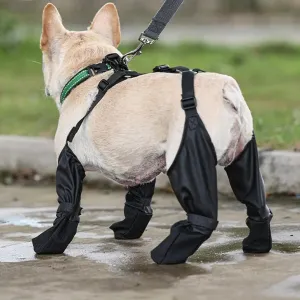 Suspender Dogs Boots